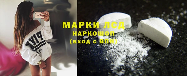 гидра Кодинск
