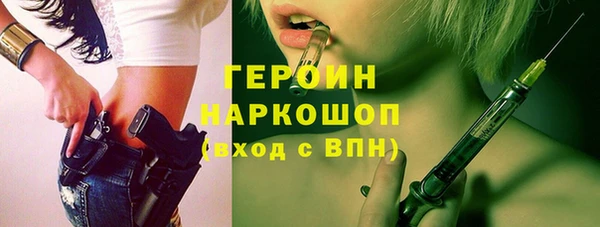 гидра Кодинск