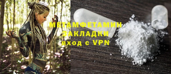 гидра Кодинск