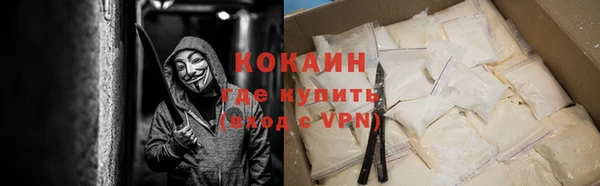 гидра Кодинск