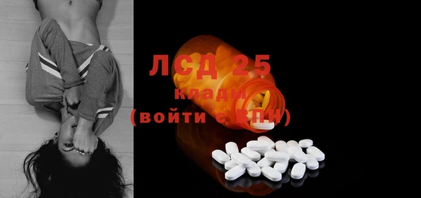 гидра Кодинск