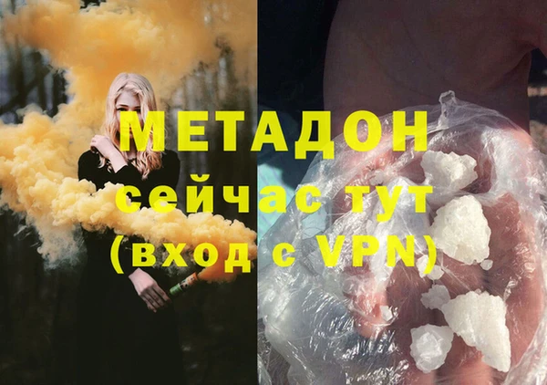 гидра Кодинск