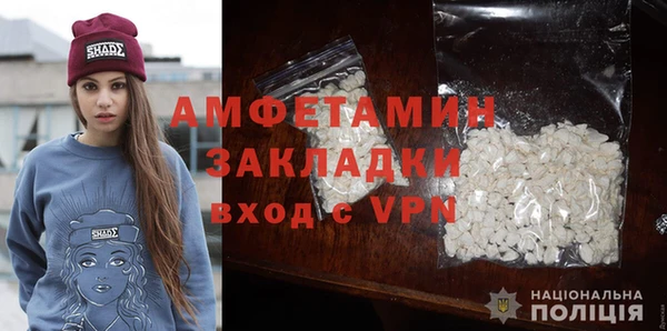 гидра Кодинск