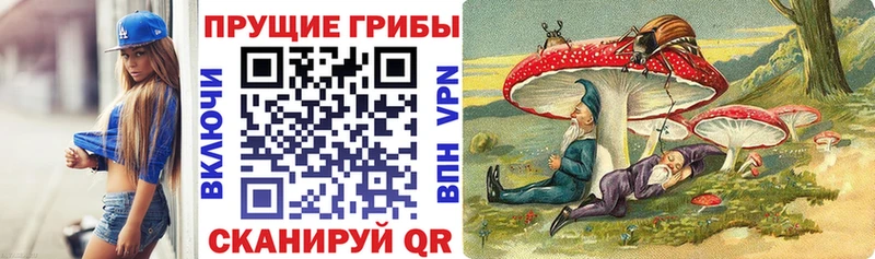 Галлюциногенные грибы GOLDEN TEACHER  Купить закладки  Белебей 